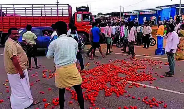 ಚಿತ್ರದುರ್ಗ: ಕೇಳೋರಿಲ್ಲದಂತಾದ ಟೊಮೆಟೊ..!
